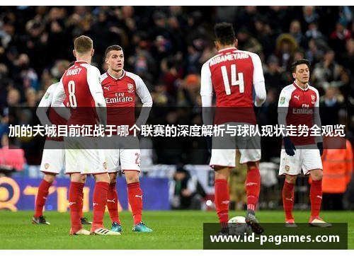 加的夫城目前征战于哪个联赛的深度解析与球队现状走势全观览